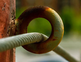 免费测试呼死你